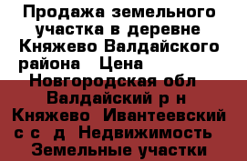 Продажа земельного участка в деревне Княжево Валдайского района › Цена ­ 400 000 - Новгородская обл., Валдайский р-н, Княжево (Ивантеевский с/с) д. Недвижимость » Земельные участки продажа   